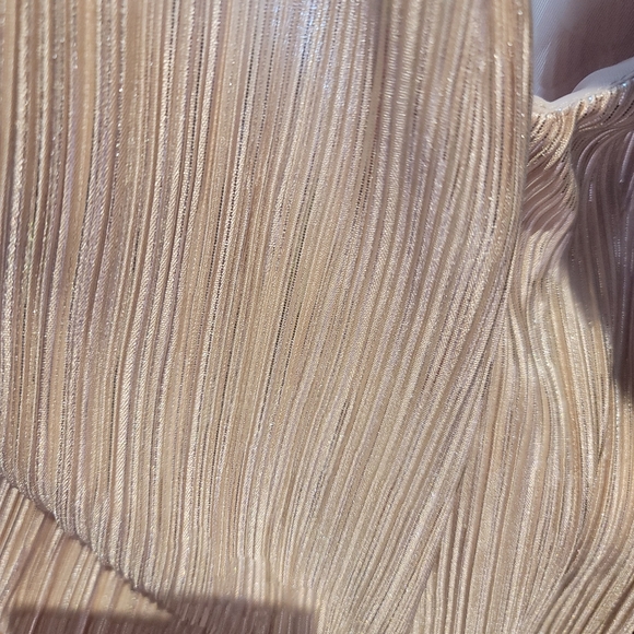 Zara Dress - Picture 2 of 4